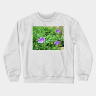 Campanula Carpatica 1 Crewneck Sweatshirt